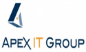 Apex IT Group