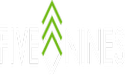 Five Nines Technology Group