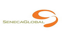 Seneca Global IT Services Pvt Ltd
