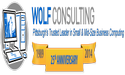 Wolf Consulting, Inc.