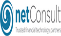 netConsult