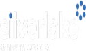 Silverlake Axis