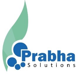 Prabha Solutions - Web Development Company in India