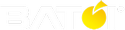 Batoi Systems Pvt Ltd