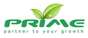 Prime Infoserv LLP