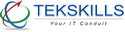 Tekskills India Private Limited