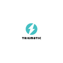 Trigmatic Technologies Pvt Ltd