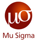Mu Sigma Business Solutions Pvt Ltd