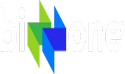 Biz-Zone Internet Group