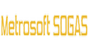 MetroSoft