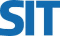 Strategic Information Technology