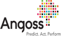 Angoss