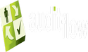 Auditflow Group