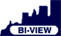 BI View