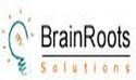 BrainRoots Solutions