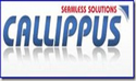Callippus Solutions