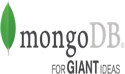 MongoDB