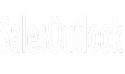 SalesOutlook