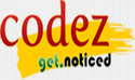 Codezin Technology Solutions Private Limited