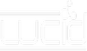Lucid Infotech Private Limited