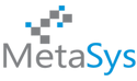 MetaSys Software Private Limited