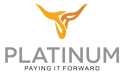 Platinum Infosystems Private Limited