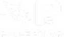 Polestar Solutions and Services India LLP