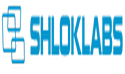 Shlok Information Systems India Pvt Ltd