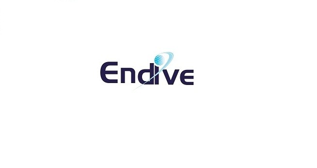 Endive Software Pvt. Ltd.