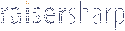 RaiserSharp Solutions