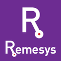 Remesys