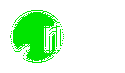 Ribyt