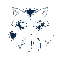 RoomRaccoon