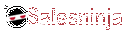 Salesninja