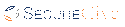 SecureGive