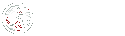 Secutor Solutions