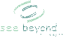 See Beyond Technologies