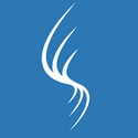 Seraphim Software