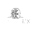 SynapseMX