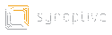 Synoptive