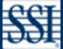 The SSI Group
