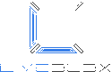 Apulus