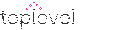 Toplevel Computing