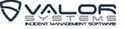 Valor Systems