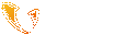Vitel Global