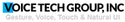 Voice Tech Group