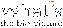 What's the Big Picture