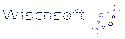 Wisensoft