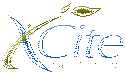 Xcite Health