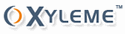 Xyleme